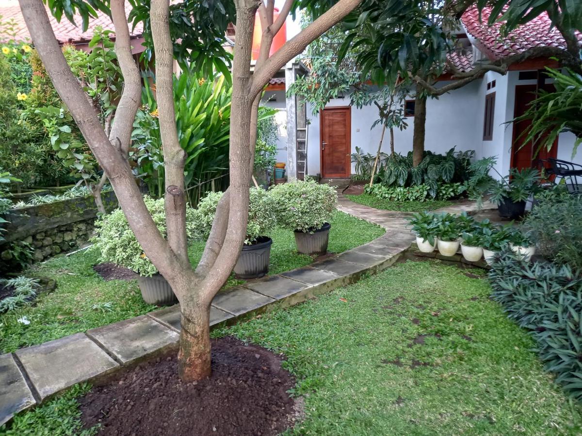 Juda Homestay Бануванги Екстериор снимка