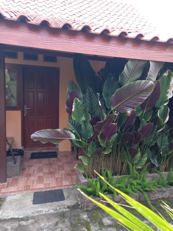 Juda Homestay Бануванги Екстериор снимка